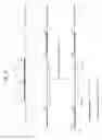Fig. 77 - Rodent comprising mouse artificial chromosome vector