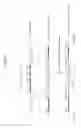 Fig. 82 - Rodent comprising mouse artificial chromosome vector