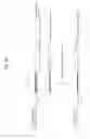 Fig. 90 - Rodent comprising mouse artificial chromosome vector