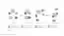 Fig. 02 - Target molecules for transcriptional control systems