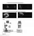 Fig. 08 - Target molecules for transcriptional control systems