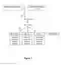 Fig. 02 - High yield tomato plants