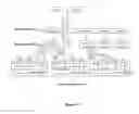 Fig. 03 - High yield tomato plants