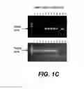 Fig. 03 - Compositions and methods for silencing gene expression