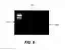 Fig. 08 - Compositions and methods for silencing gene expression
