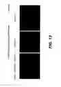 Fig. 22 - Compositions and methods for silencing gene expression