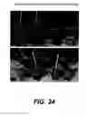 Fig. 33 - Compositions and methods for silencing gene expression