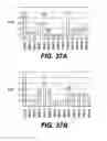 Fig. 49 - Compositions and methods for silencing gene expression