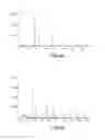 Fig. 09 - COMPOSITION FILLED WITH ACTINIDE POWDER AND AROMATIC POLYMER AND/OR PMMA