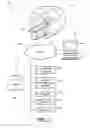 Fig. 03 - Attenuation map with scattered coincidences in Positron Emission Tomography