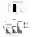 Fig. 43 - COMPOSITIONS, PROCESS OF PREPARATION OF SAID COMPOSITIONS AND METHOD OF TREATING INFLAMMATORY DISEASES
