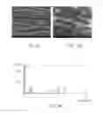 Fig. 05 - METHOD FOR MANUFACTURING FILM ELECTRODE