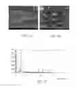 Fig. 06 - METHOD FOR MANUFACTURING FILM ELECTRODE