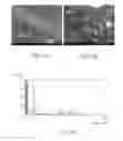 Fig. 07 - METHOD FOR MANUFACTURING FILM ELECTRODE