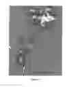 Fig. 07 - COATINGS, COATED SURFACES, AND METHODS FOR PRODUCTION THEREOF