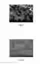 Fig. 06 - Silver powder and method for producing same