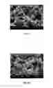 Fig. 07 - Silver powder and method for producing same