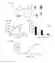 Fig. 06 - FLUORESCENT PROTEINS, SPLIT FLUORESCENT PROTEINS, AND THEIR USES
