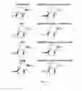 Fig. 06 - NADP-DEPENDENT ALANINE DEHYDROGENASE
