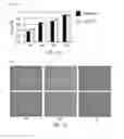 Fig. 09 - CELL CULTURE FLUID