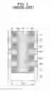 Fig. 02 - Nonvolatile memory device and method for fabricating the same