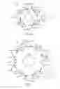 Fig. 07 - GEOMETRIC SYSTEMS FOR BUILDING 3-D STRUCTURES