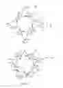 Fig. 09 - GEOMETRIC SYSTEMS FOR BUILDING 3-D STRUCTURES