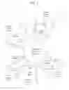 Fig. 02 - BEAD EMULSION NUCLEIC ACID AMPLIFICATION