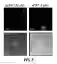 Fig. 07 - Compositions and methods for the delivery of molecules into live cells