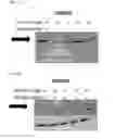 Fig. 49 - Anti-inflammatory peptides and composition comprising the same