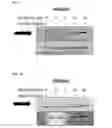 Fig. 52 - Anti-inflammatory peptides and composition comprising the same