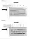 Fig. 65 - Anti-inflammatory peptides and composition comprising the same
