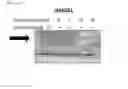 Fig. 83 - Anti-inflammatory peptides and composition comprising the same