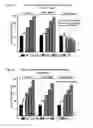 Fig. 02 - SELECTIVE TUMOR TREATMENT