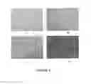 Fig. 10 - Novel Biodegradable Elastomeric Scaffold for Tissue Engineering and Light Scattering Fingerprinting Methods for Testing the Same
