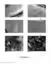 Fig. 12 - Novel Biodegradable Elastomeric Scaffold for Tissue Engineering and Light Scattering Fingerprinting Methods for Testing the Same