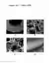 Fig. 17 - Novel Biodegradable Elastomeric Scaffold for Tissue Engineering and Light Scattering Fingerprinting Methods for Testing the Same