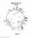 Fig. 09 - Human control antibodies and uses therefor