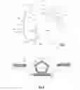 Fig. 02 - Force distribution method and apparatus for neonates at risk of cranial molding