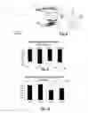Fig. 05 - Force distribution method and apparatus for neonates at risk of cranial molding