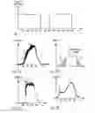 Fig. 02 - Method for generating shaped laser pulses in a lithotripter and a lithotripter