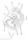 Fig. 02 - Fixation system for spinal cages
