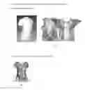 Fig. 03 - Using UV unwrapping to create manufacturing patterns for custom prints