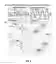 Fig. 07 - Systems and methods for sensing balanced-action for improving mammal work-track efficiency