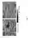 Fig. 08 - Method for efficient dynamic gridding