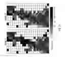 Fig. 12 - Method for efficient dynamic gridding