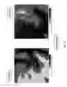 Fig. 14 - Method for efficient dynamic gridding