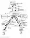 Fig. 01 - METHOD AND APPARATUS FOR IDENTIFYING EARLY STATUS