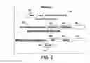 Fig. 03 - USING SEMANTIC ANALYSIS TO ENHANCE PERSONALIZED DOCUMENTS IN A VARIABLE DATA MARKETING CAMPAIGN