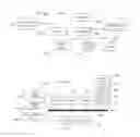 Fig. 09 - BARTERING CONTENT FOR APPLICATION DEVELOPERS
